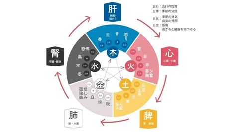 陰陽五行 水 性格|【五行占い】水（陽・陰）の2023年運勢や特徴・性。